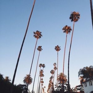 Meet your Posher, Raymond